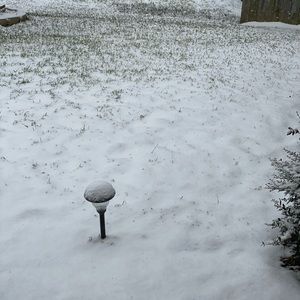 Meet your Posher, Delores